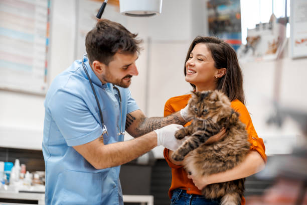 Clínica veterinária 24 horas em Fortaleza