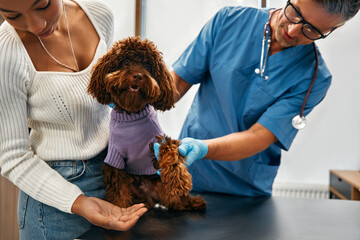 Clínica veterinária perto de mim no Ceará