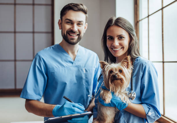 Hospital 24h veterinário em Fortaleza