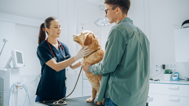 Hospital veterinário 24h em Fortaleza