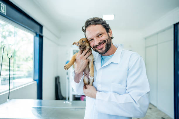 Hospital veterinário próximo a mim