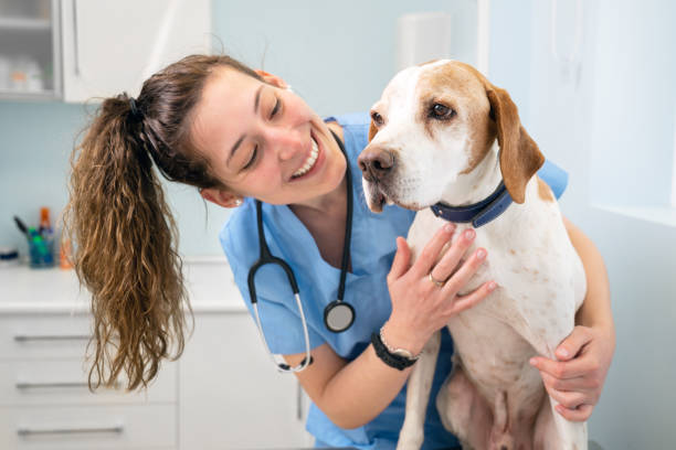 Patologista veterinario no Ceará