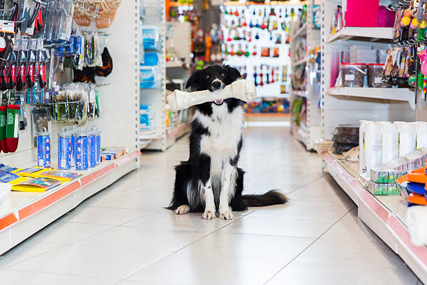 Pet shop próximo em Fortaleza