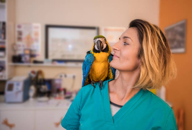 Veterinário de aves no Ceará